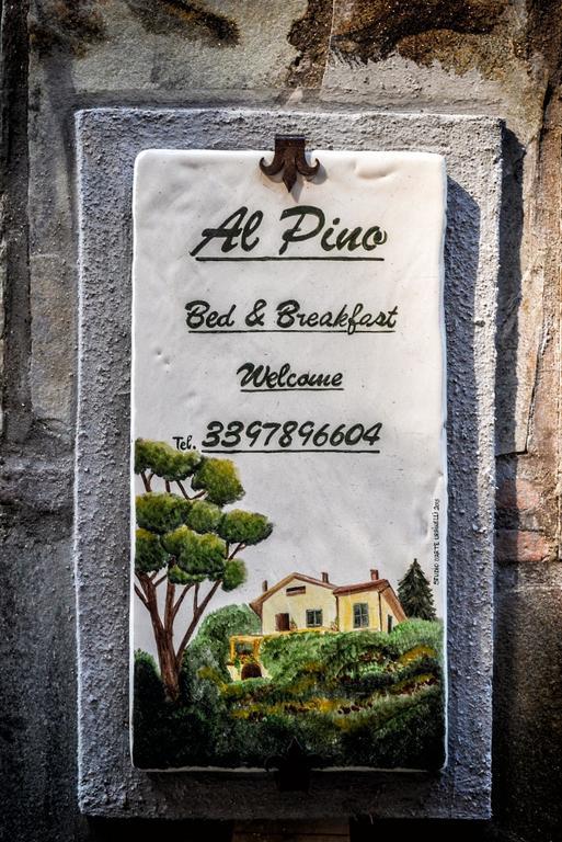 Al Pino B&B Grottaferrata Exterior photo