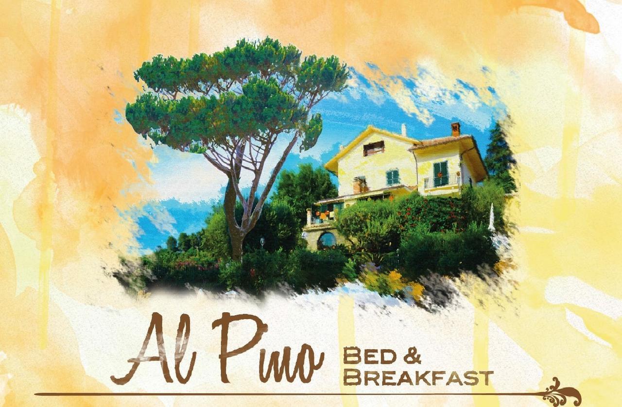 Al Pino B&B Grottaferrata Exterior photo